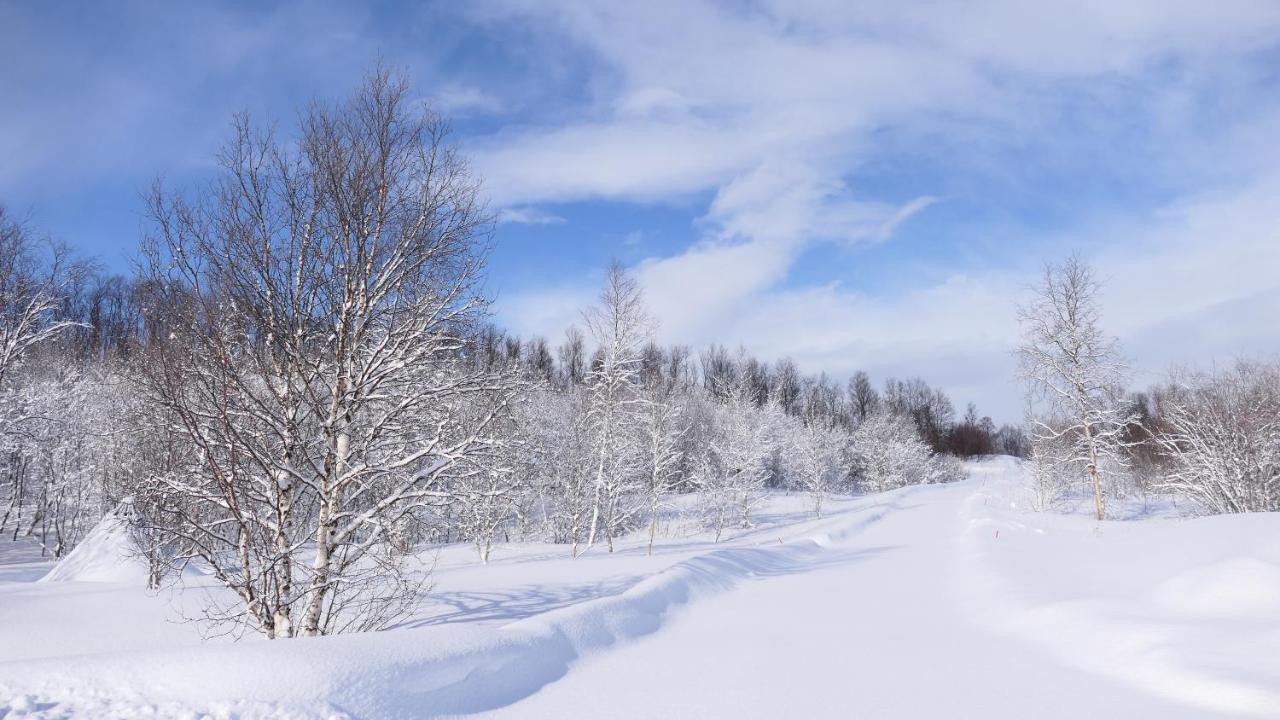 Wild Caribou'S Wildwood Cabin Lakselv Exterior foto